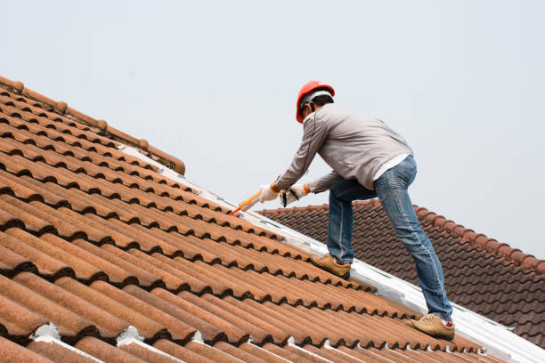 Best Solar Panel Roofing Installation  in Inwood, FL