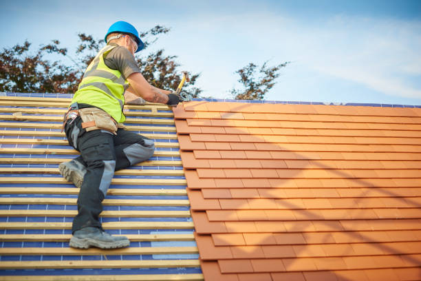 Best Skylight Installation and Repair  in Inwood, FL